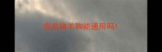 疫苗猪羊狗能通用吗