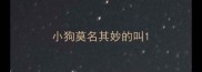 小狗莫名其妙的叫