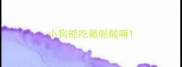 小狗能吃氟哌酸嘛