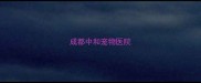 成都中和宠物医院