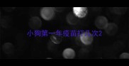 小狗第一年疫苗打几次