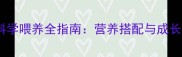 边牧幼犬科学喂养全指南营养搭配与成长关键要素