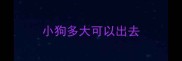 小狗多大可以出去