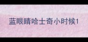 蓝眼睛哈士奇小时候