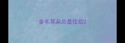 金毛耳朵总是往后