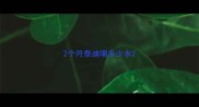 2个月泰迪喝多少水