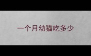 一个月幼猫吃多少