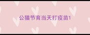 公猫节育当天打疫苗