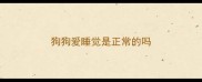 狗狗爱睡觉是正常的吗