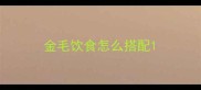 金毛饮食怎么搭配