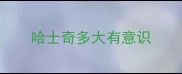哈士奇多大有意识
