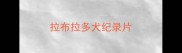 拉布拉多犬纪录片