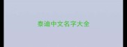泰迪中文名字大全