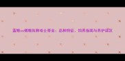 蓝眼vs褐眼纯种哈士奇全品种特征饲养指南与养护误区