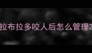 拉布拉多咬人后怎么管理