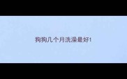 狗狗几个月洗澡最好