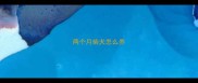 两个月柴犬怎么养
