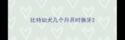 比特幼犬几个月开时换牙
