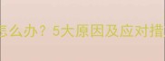狗狗肚子一直响怎么办5大原因及应对措施养宠必看