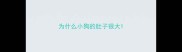 为什么小狗的肚子很大