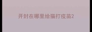 开封在哪里给猫打疫苗