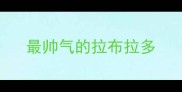 最帅气的拉布拉多