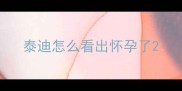 泰迪怎么看出怀孕了