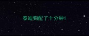 泰迪狗配了十分钟