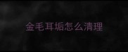金毛耳垢怎么清理