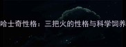 蓝眼哈士奇性格三把火的性格与科学饲养指南