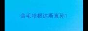 金毛哈根达斯直孙