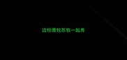边牧德牧苏牧一起养