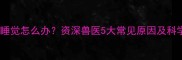 猫咪晚上不睡觉怎么办资深兽医5大常见原因及科学应对方案