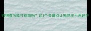 狗狗腹泻能打疫苗吗这3个关键点让宠物主不再迷茫