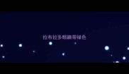 拉布拉多眼睛带绿色