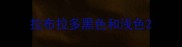 拉布拉多黑色和浅色