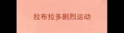 拉布拉多剧烈运动
