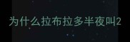 为什么拉布拉多半夜叫