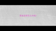 泰迪走路怎么训练