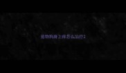 宠物狗身上痒怎么治疗