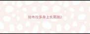 拉布拉多身上长黑斑