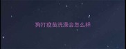 狗打疫苗洗澡会怎么样