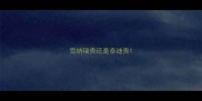雪纳瑞贵还是泰迪贵