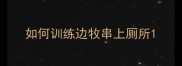 如何训练边牧串上厕所