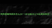 狗狗爱睡狗厕所怎么办3步训练法让TA远离如厕区