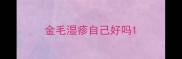 金毛湿疹自己好吗