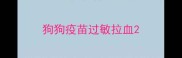 狗狗疫苗过敏拉血