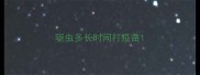 驱虫多长时间打疫苗