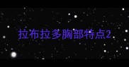 拉布拉多胸部特点