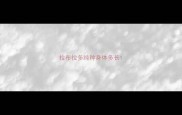 拉布拉多纯种身体多长